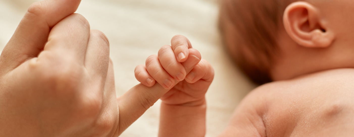 Estimulación/Regalo