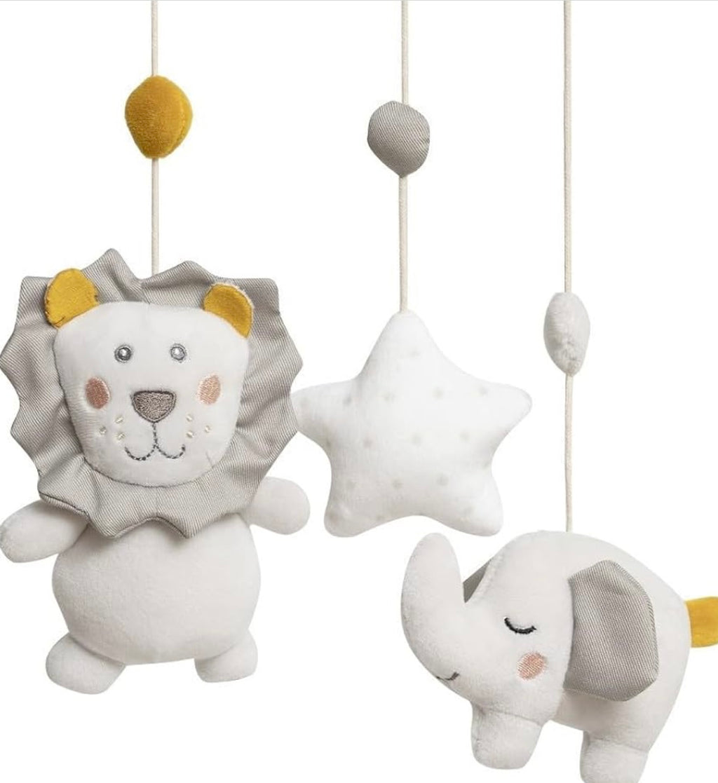 Carrusel musical León