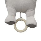 Peluche Musical León