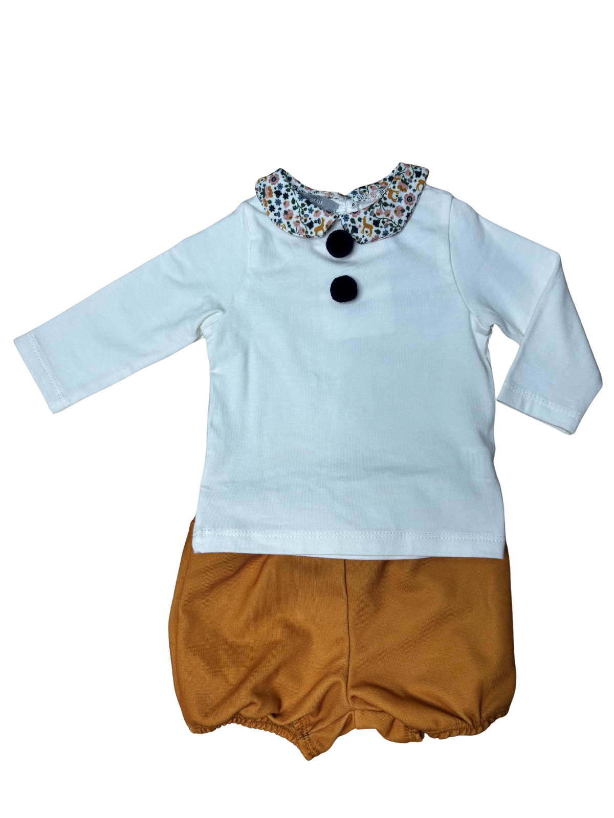Conjunto Mostaza