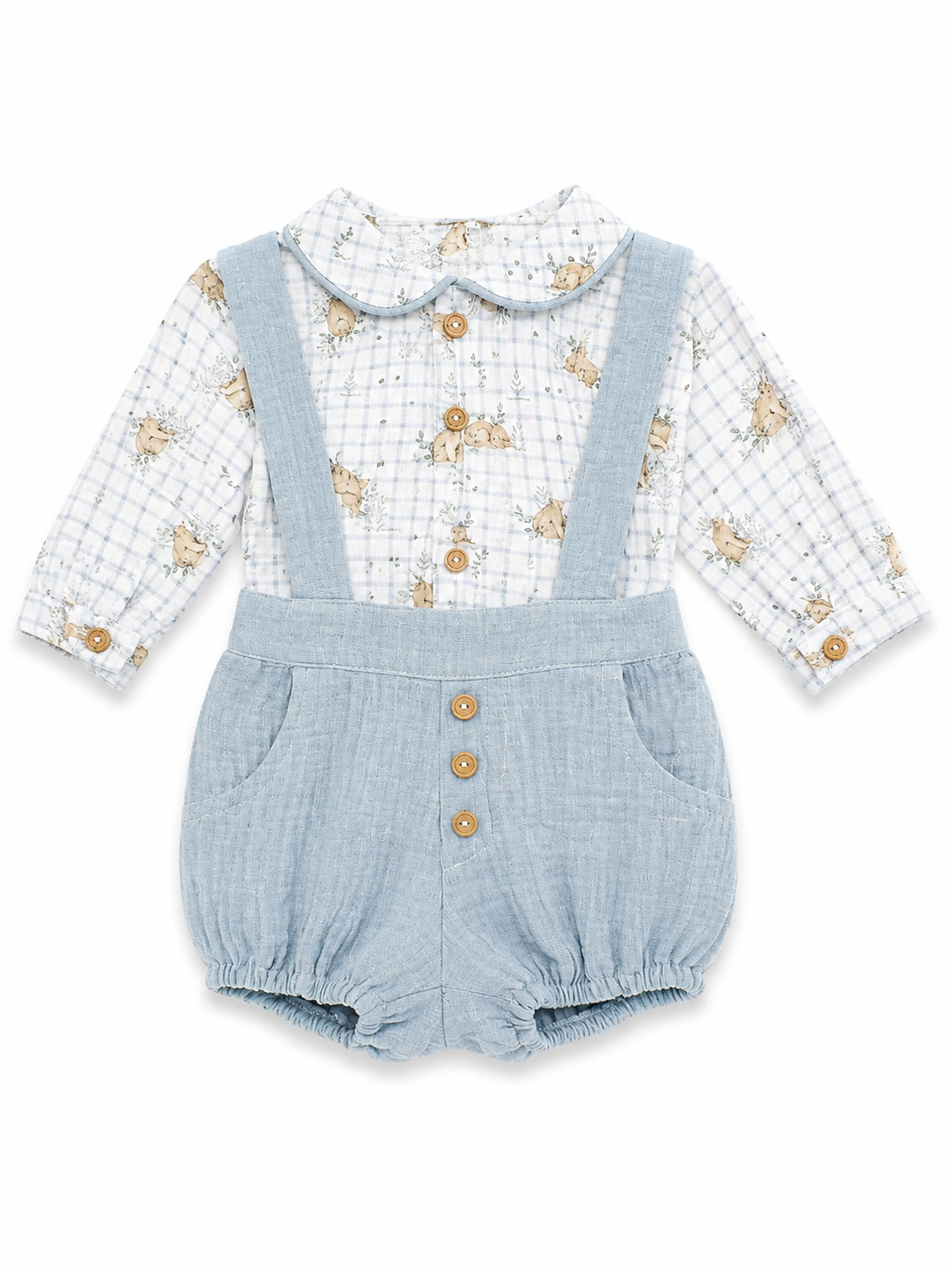 Conjunto Osos
